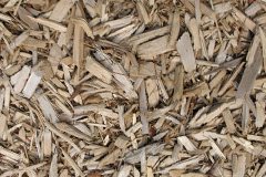 biomass boilers Ramsden Wood